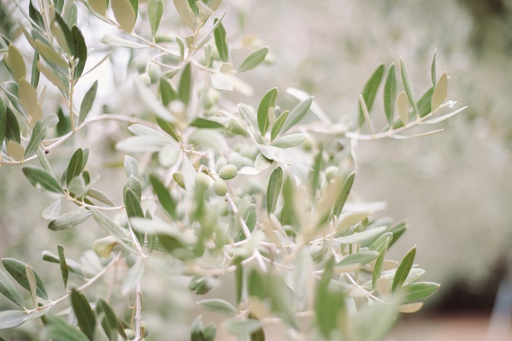 landvphotography_wedding_photographer_tuscany_0485.jpg