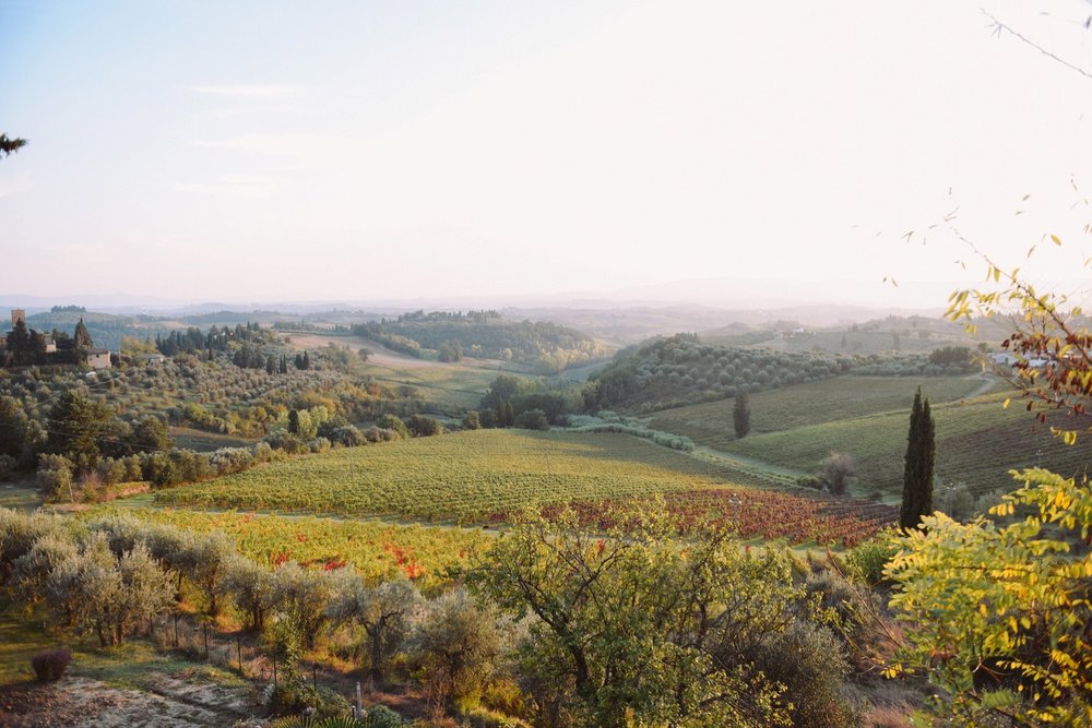 landvphotography_wedding_photographer_tuscany_certaldo_villailpozzo_0800.jpg