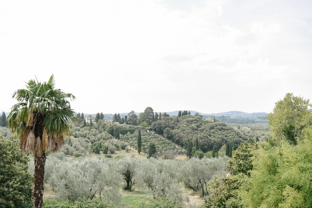 landvphotography_wedding_photographer_tuscany_villamediceadililliano_0128.jpg