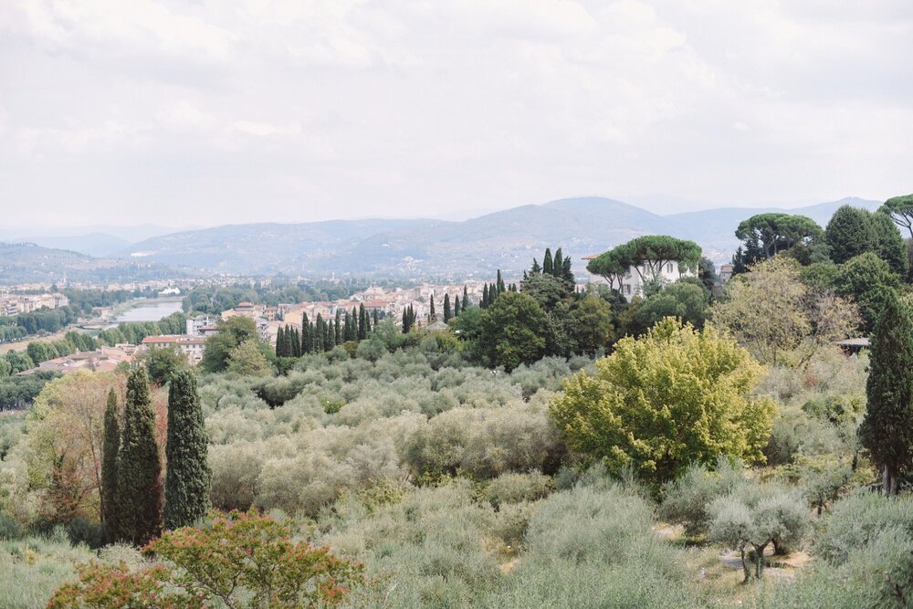 landvphotography_wedding_photographer_tuscany_villamediceadililliano_0158.jpg