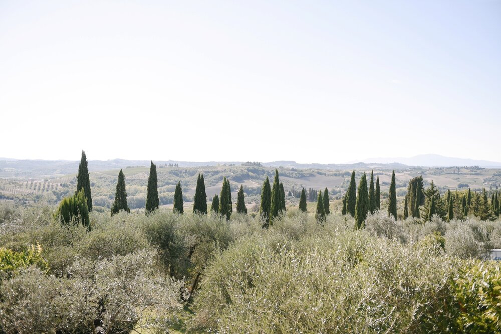 landvphotography_wedding_photographer_tuscany_anticafattoriadipaterno_0043.jpg