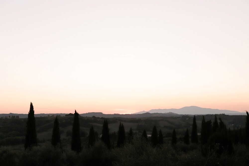 landvphotography_wedding_photographer_tuscany_anticafattoriadipaterno_0195.jpg