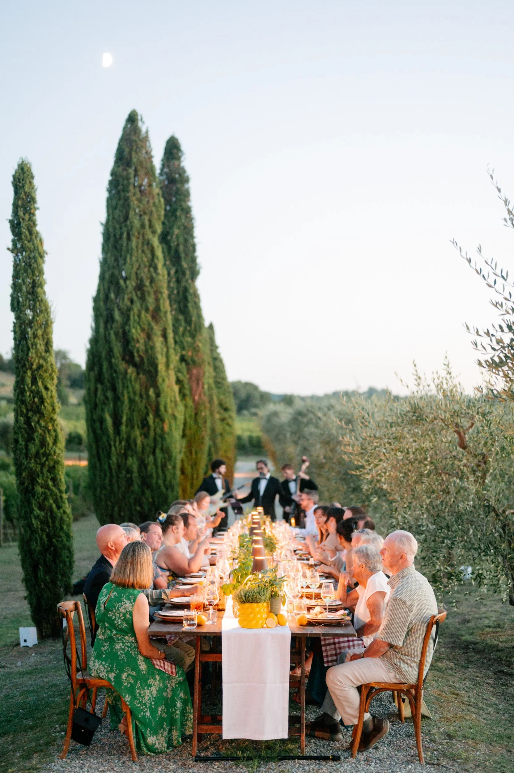 Outdoor dinner party with people seated at a long table, music band with instruments in the background, surrounded by tall cypress trees and greenery, during dusk.