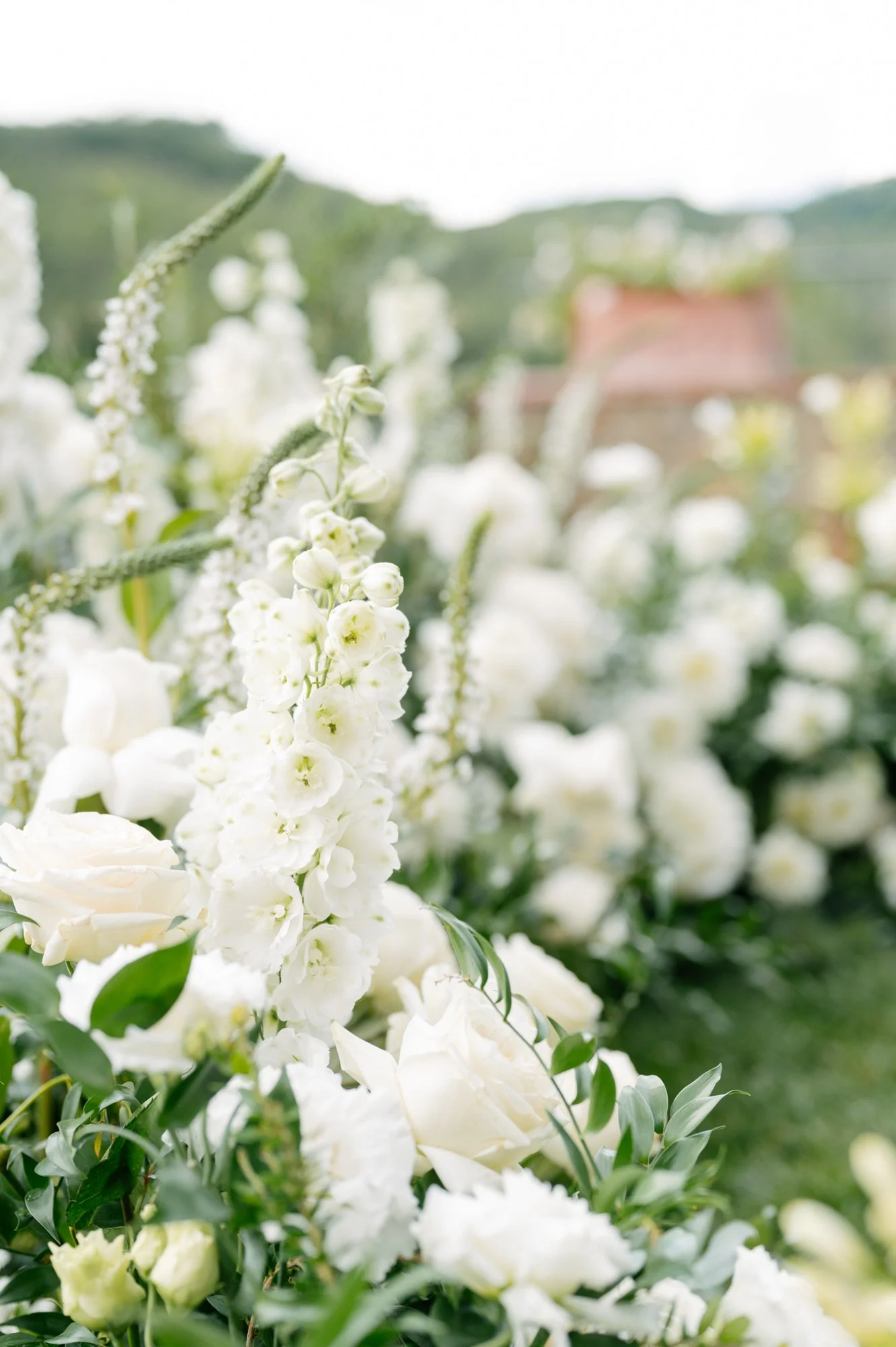 White flowers in a garden with a blurred background, featuring green foliage and a building with a red roof.