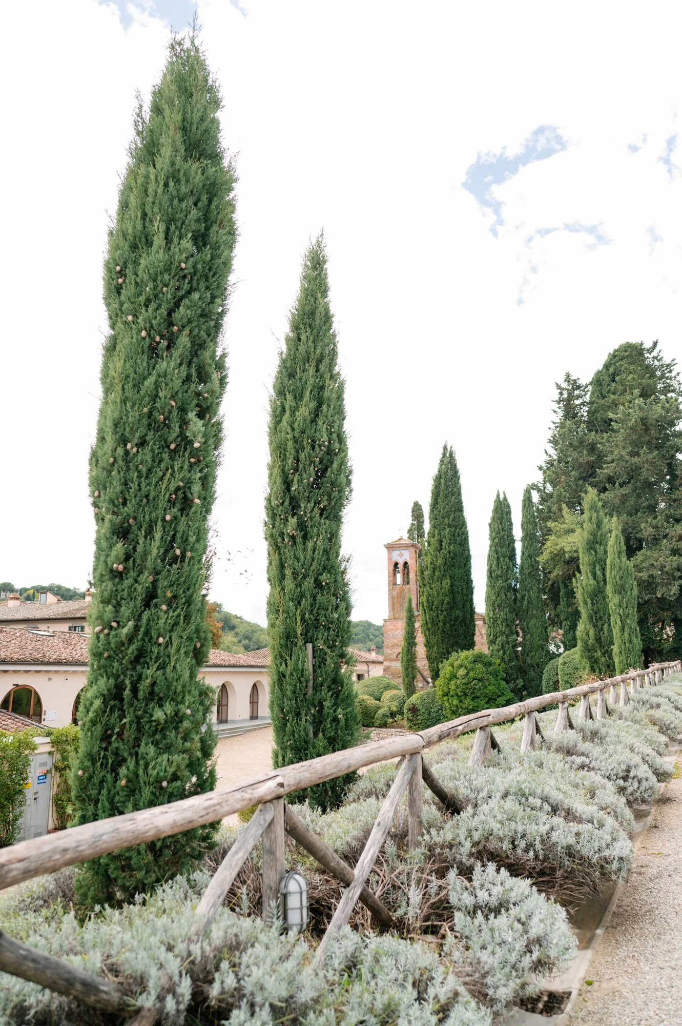 A pathway lined with tall cypress trees, a wooden fence, and bushes, with buildings and a bell tower in the background under a partly cloudy sky.