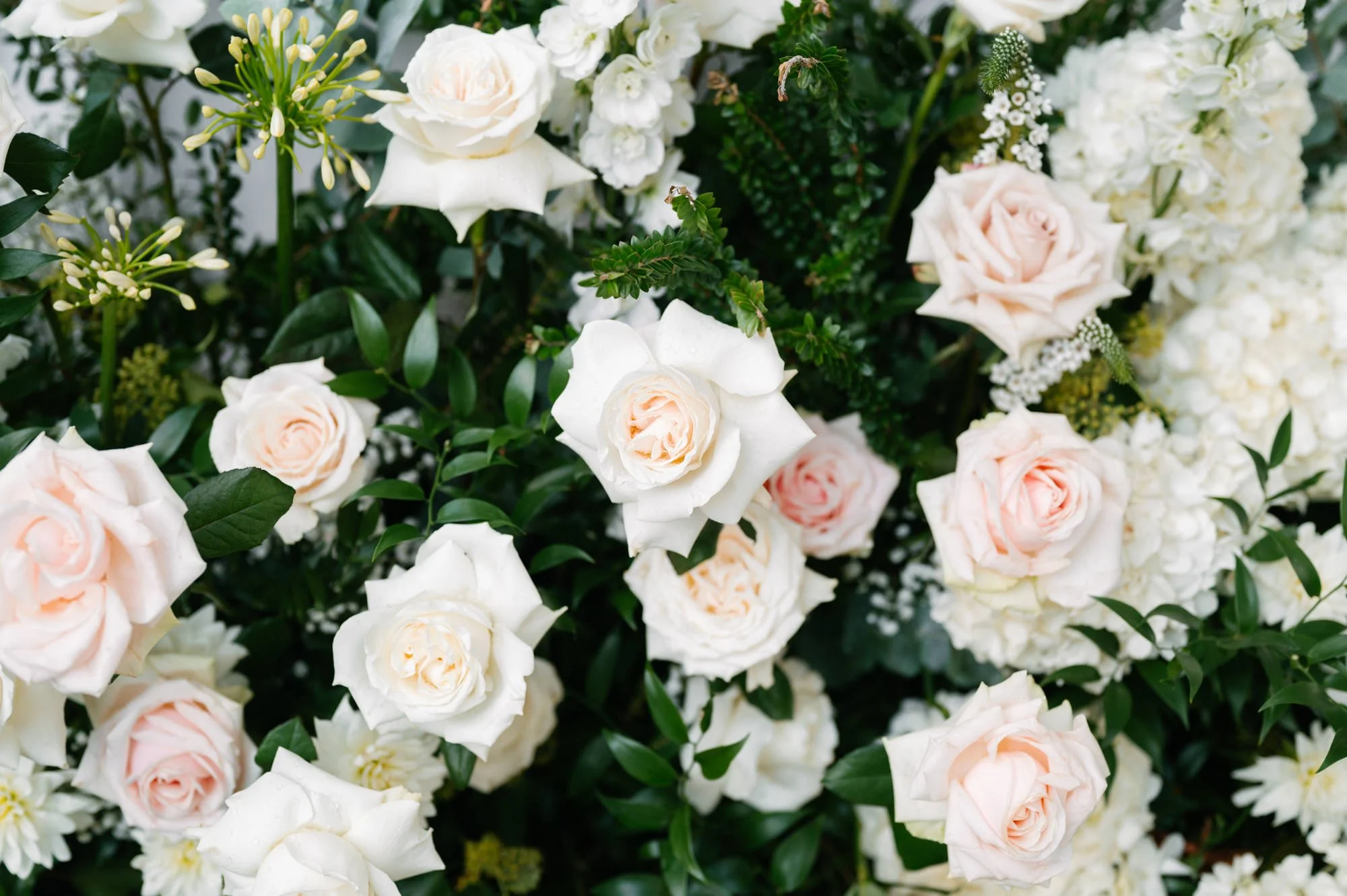 Close-up view of a bouquet of white and pale pink roses with greenery and other white flowers.