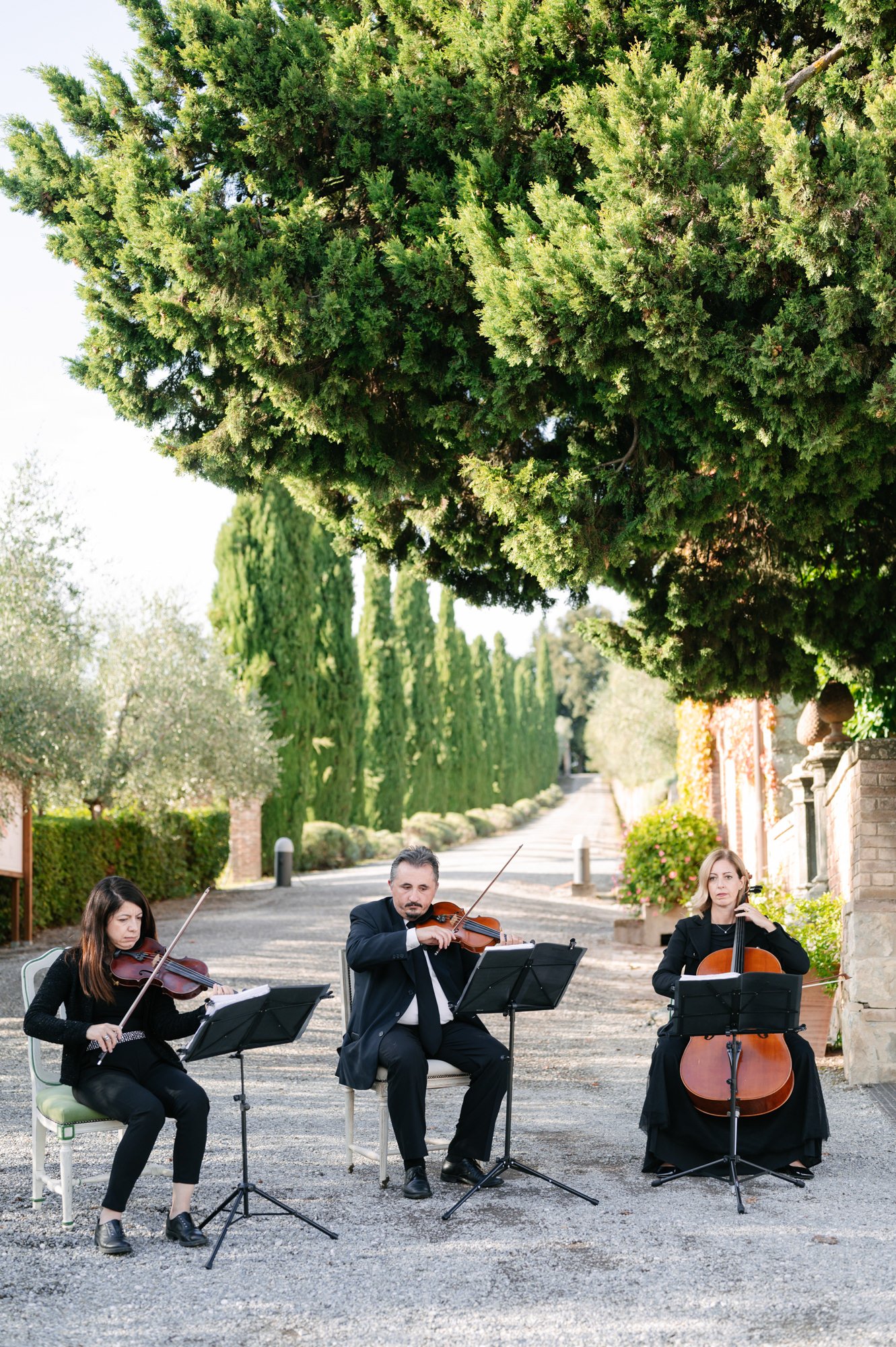 A string of three musicians, a violinist, a violinist, and a cellist, performing outdoors on a sunny day in a scenic setting with tall trees and a gravel pathway.