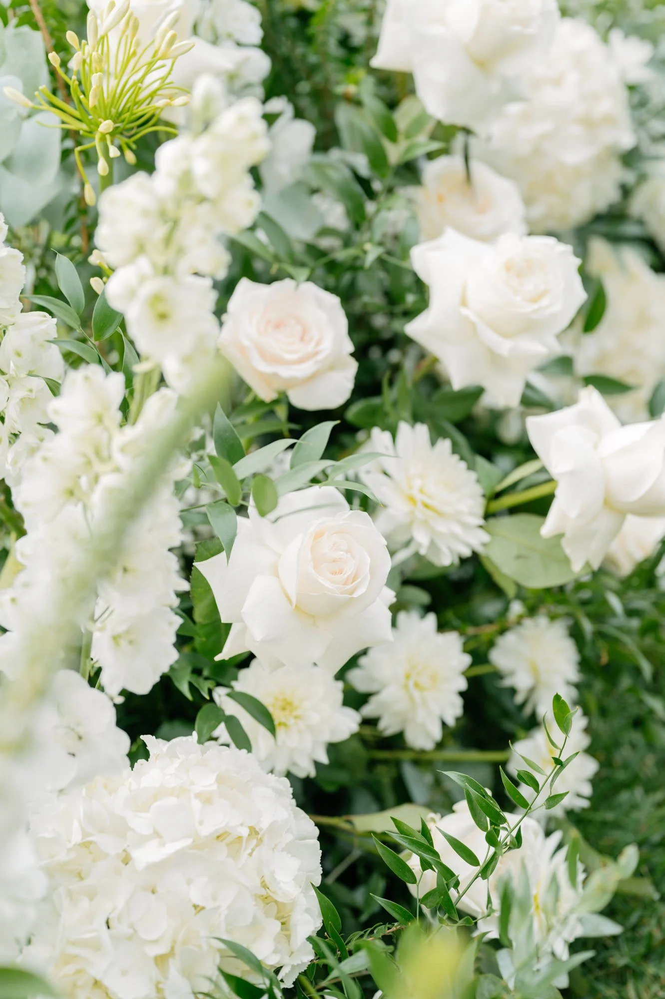 Close-up view of a lush arrangement of white flowers including roses, hydrangeas, and other blooms, with green foliage.