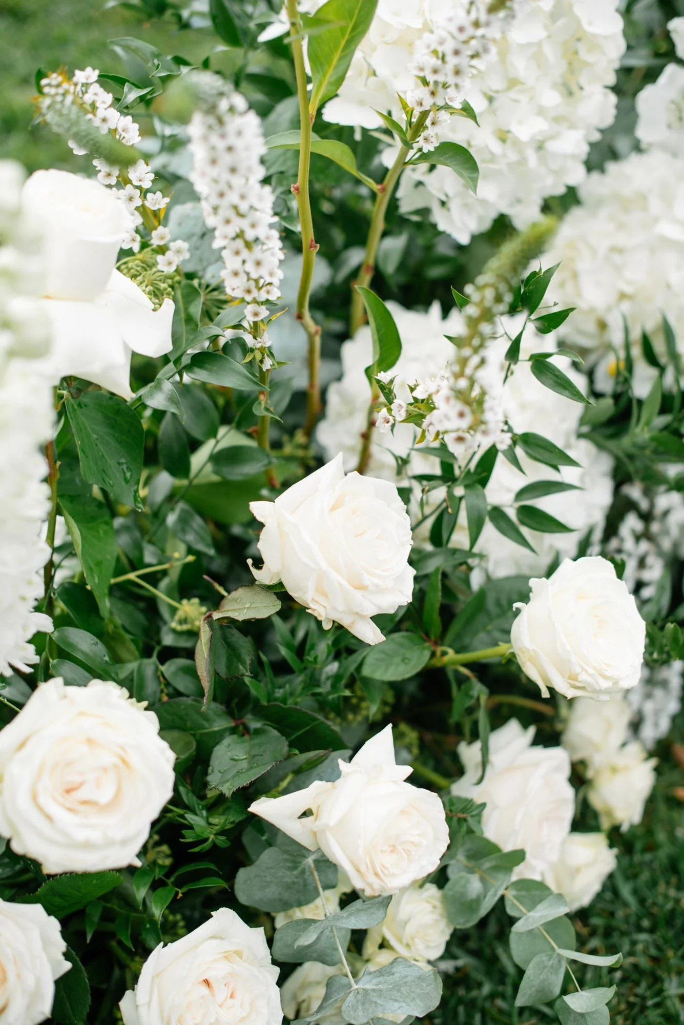 Close-up of white roses and other white flowers with green leaves and stems.