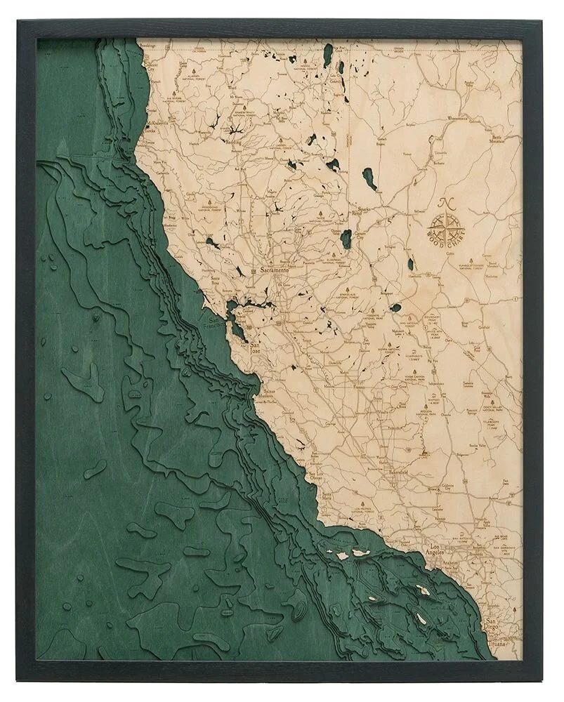 3d Wood Map CALIFORNIA COAST.jpeg