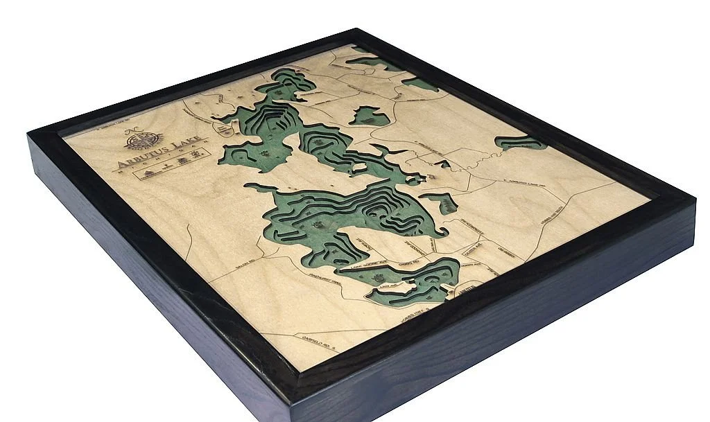 3d Wood Map ARTIBUS LAKE MI 2.jpeg