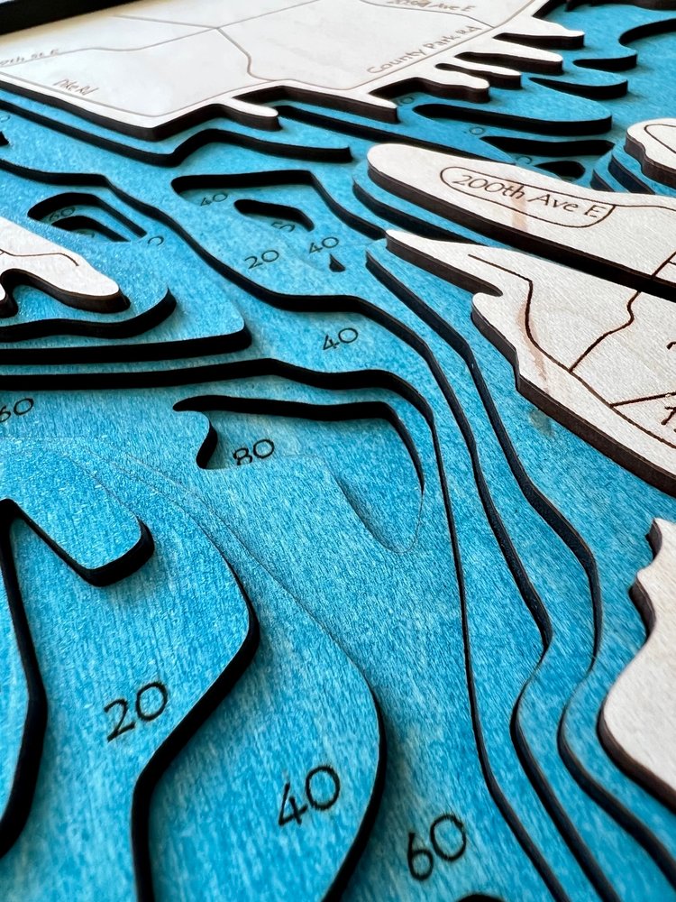 ST LOUIS BLUES 5 LAYER 3D WOOD STADIUM — 3D WOOD MAPS - BELLA MAPS