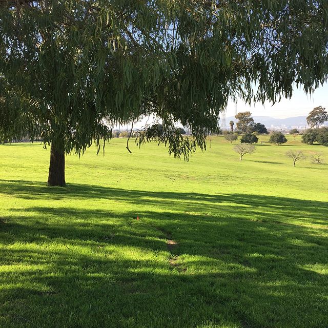 #lifeimitatesart #fridayinspiration #friday #green #aftertherain #nature #losangeles