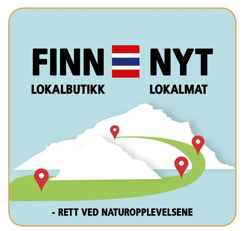 Logo FINN NYT.jpg