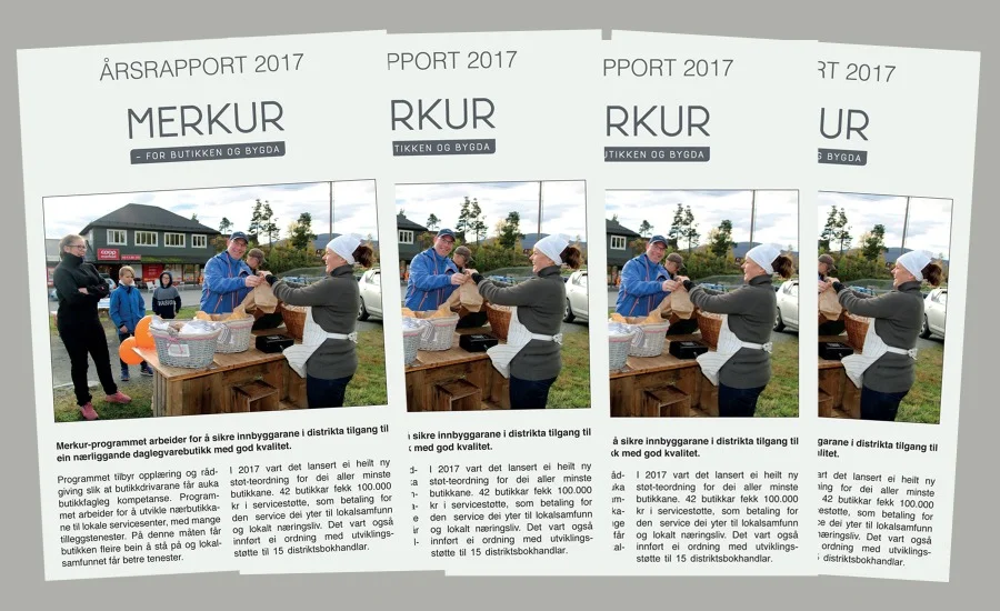 Årsrapport 2017 collage.jpg