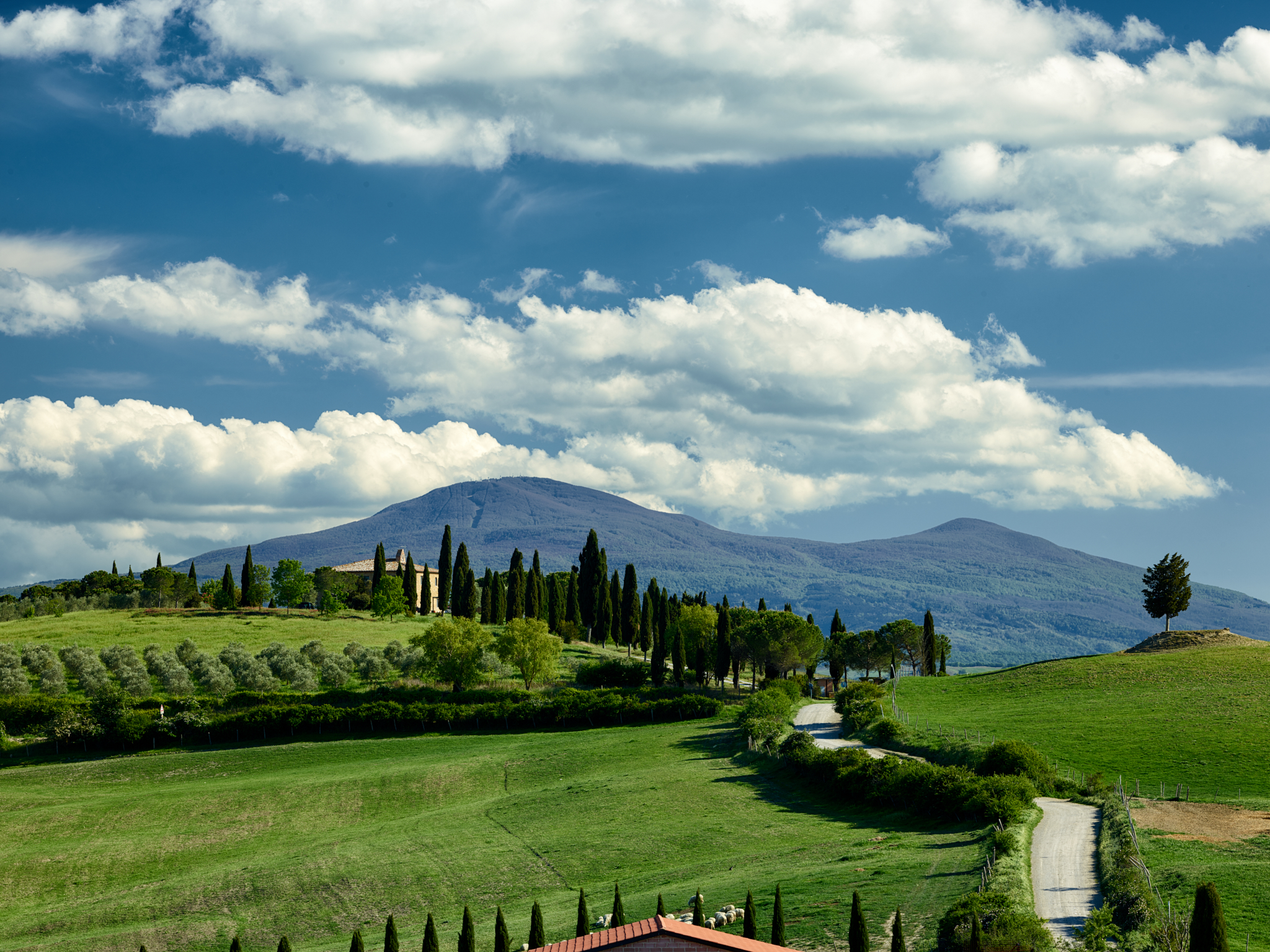 Tuscany_17-05-05_519.jpg