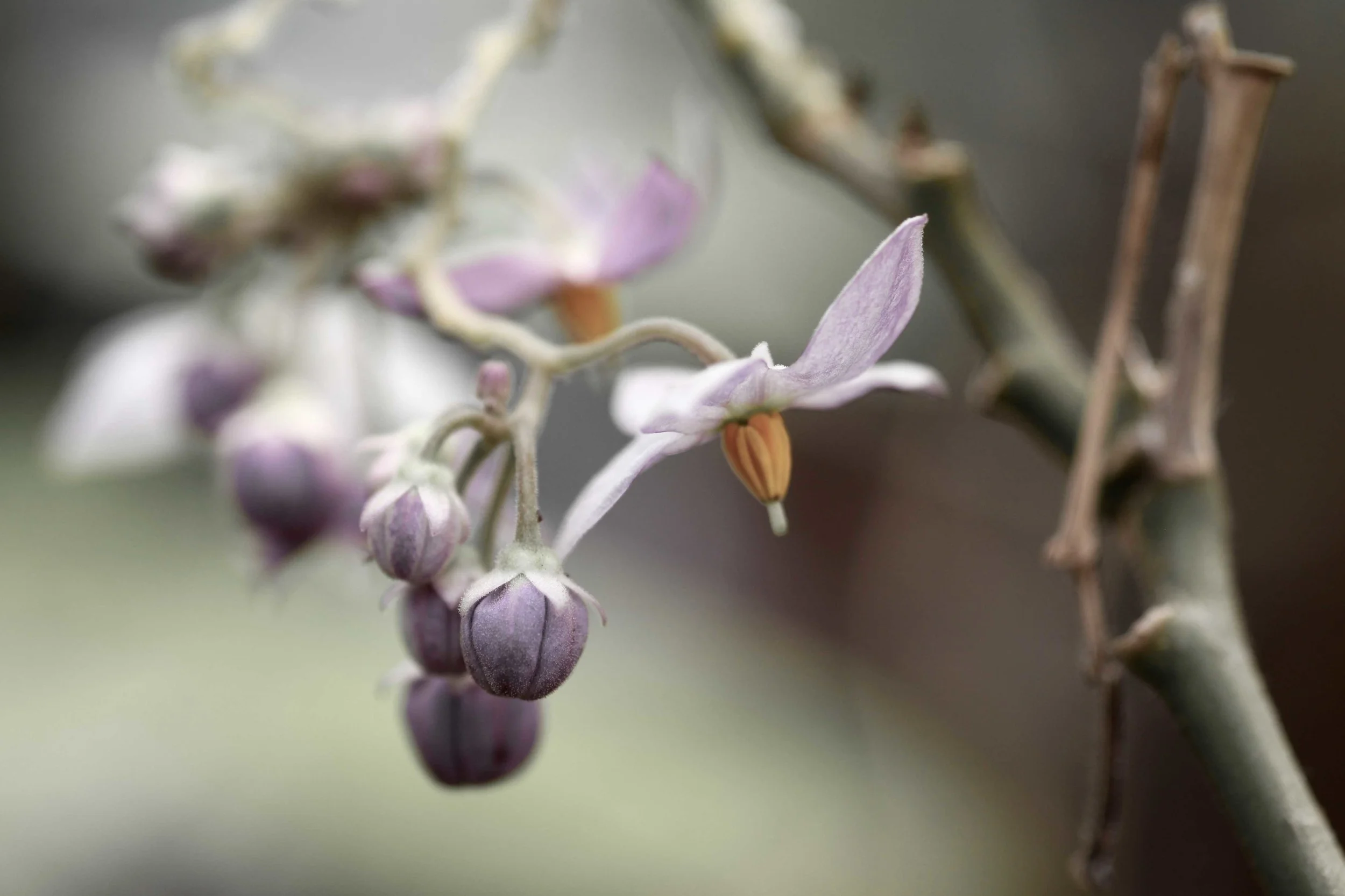 tadaa 34 (2) copy.jpg