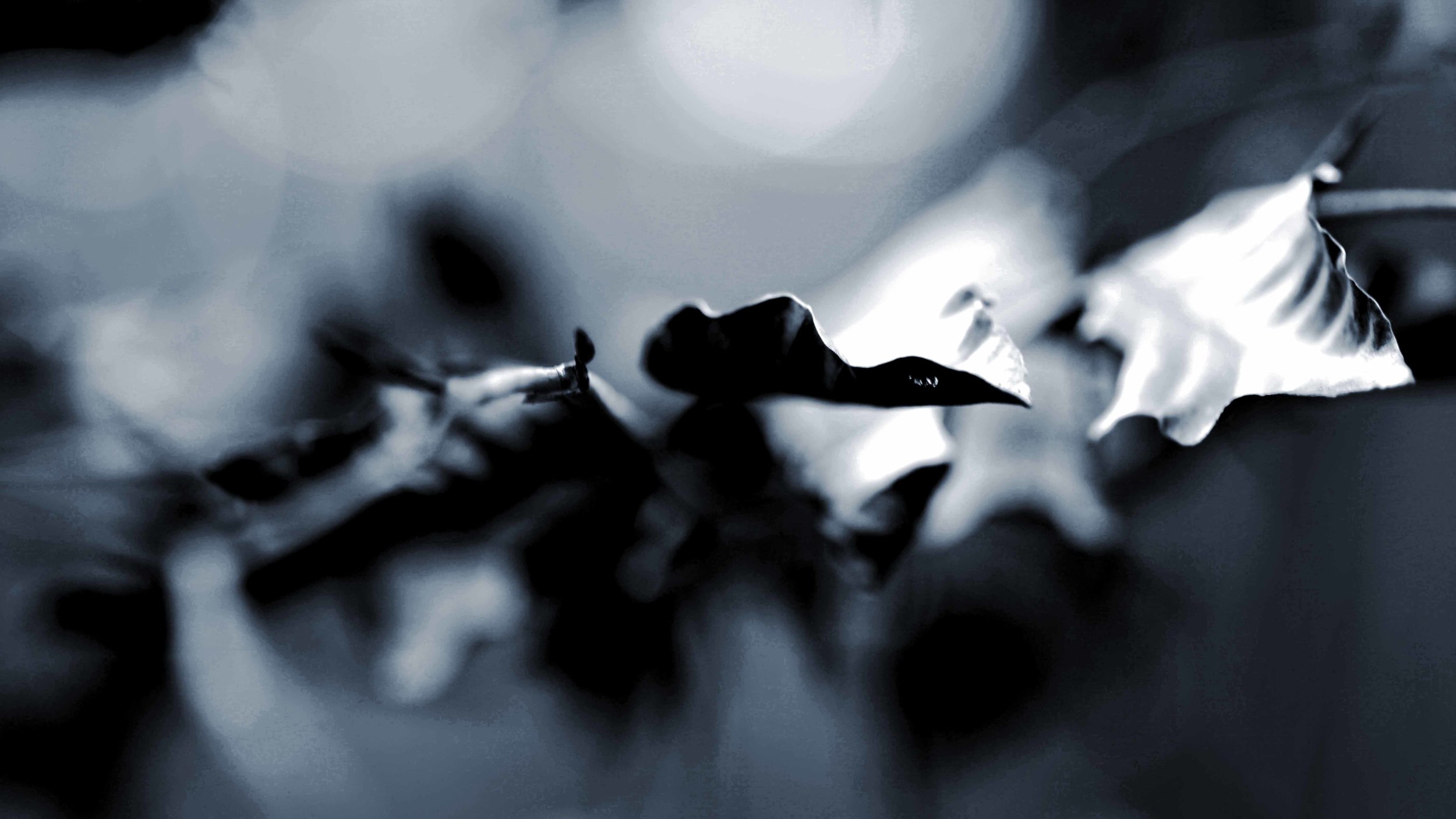 tadaa 2014 03 (1)ps02.jpg