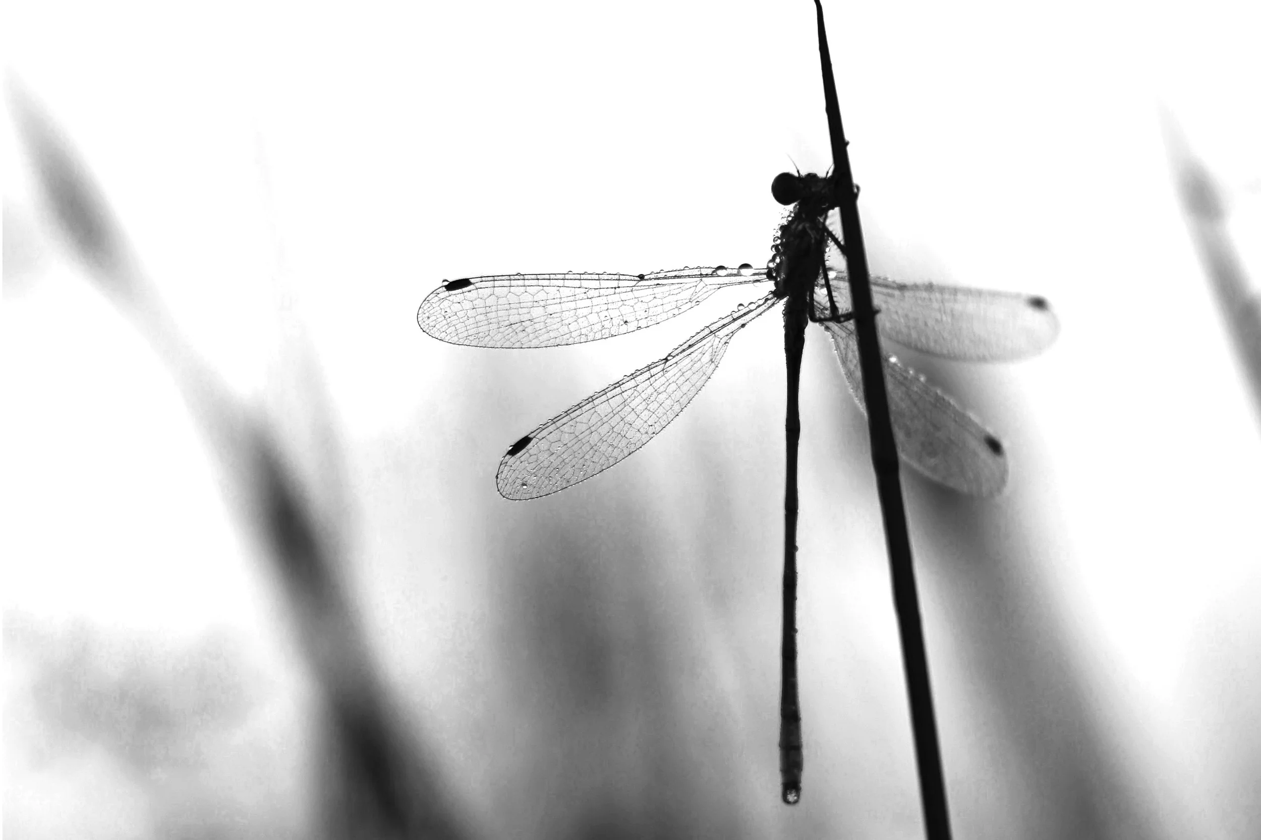 tadaa 2014 03-02.jpg