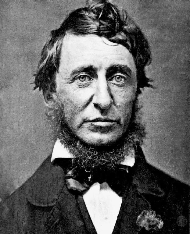 Henry David Thoreau portrait