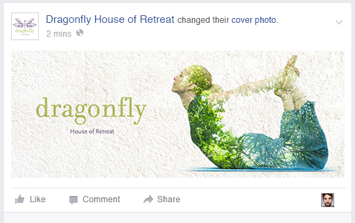 Dragonfly Facebook Page Cover Photo 1.jpg