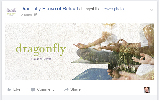Dragonfly Facebook Page Cover Photo 4.jpg