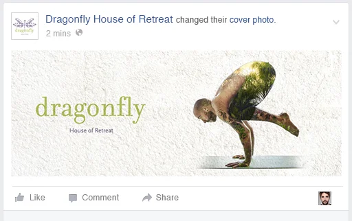 Dragonfly Facebook Page Cover Photo 3.jpg