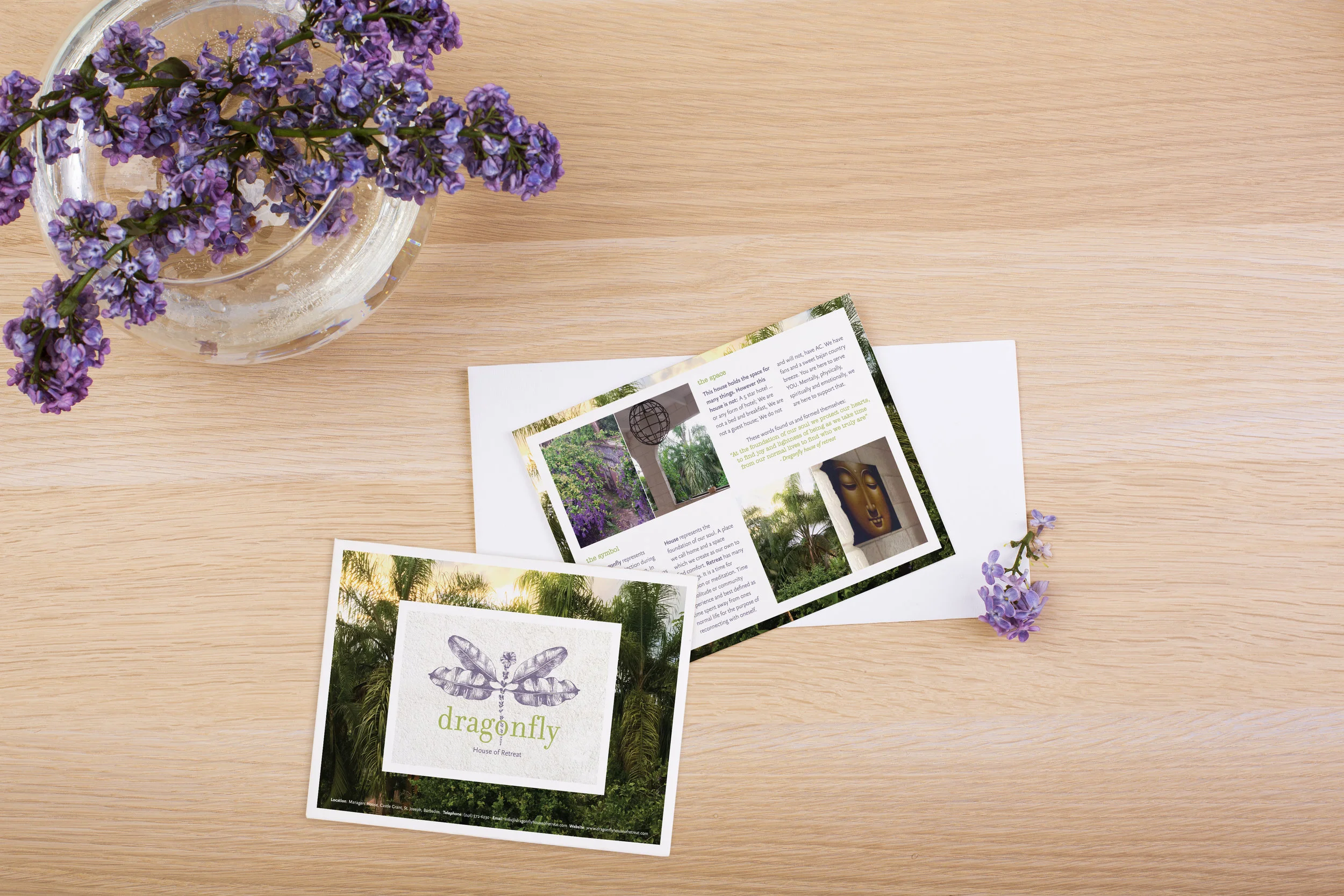 Dragonfly Postcard Mockup.jpg