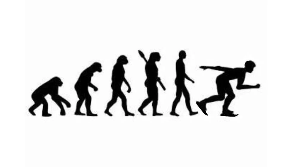 23131555_1526006404153740_5561304672240388952_n.jpg