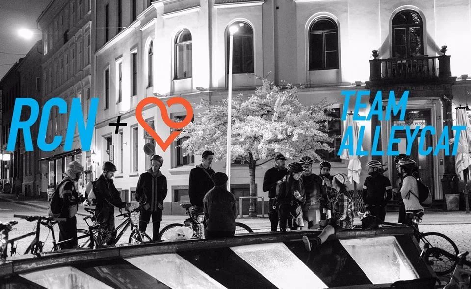 Team Alleycat
