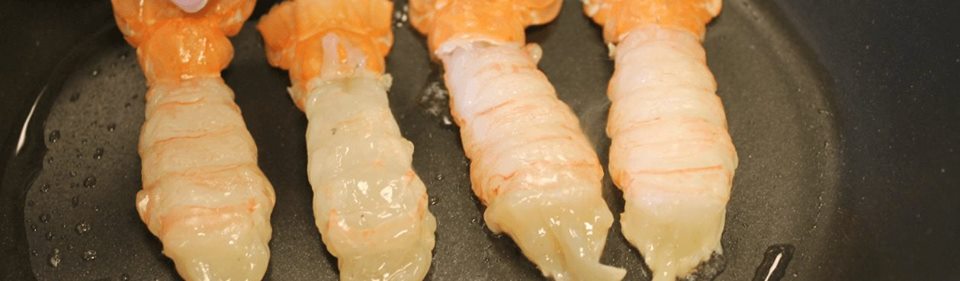 Fisk og skalldyrkurs