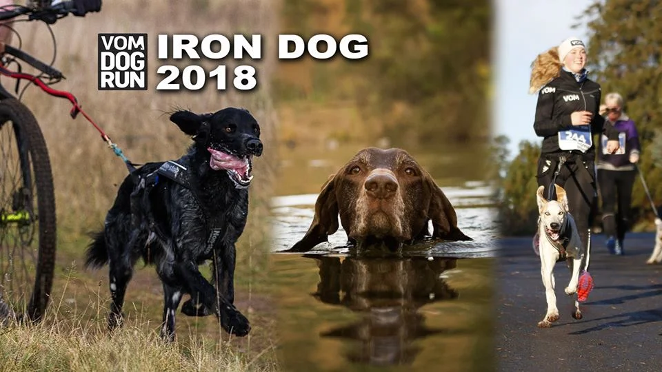 Vom Iron Dog