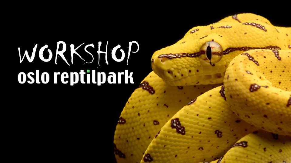 Workshop i Oslo Reptilpark - 30.august 2018