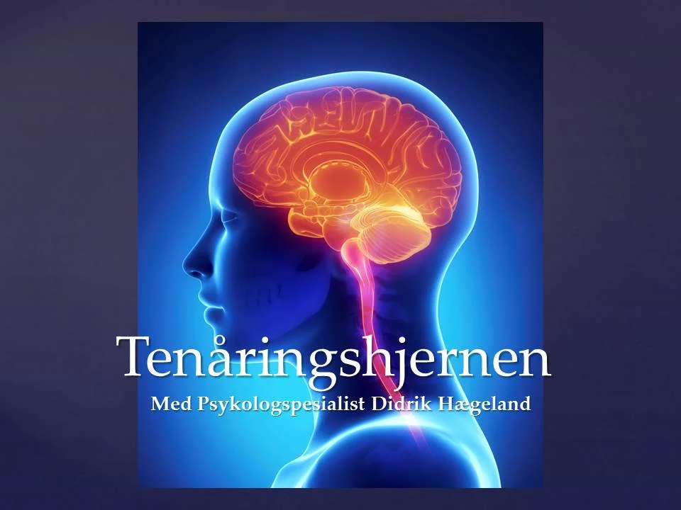 Foredrag om Tenåringshjernen