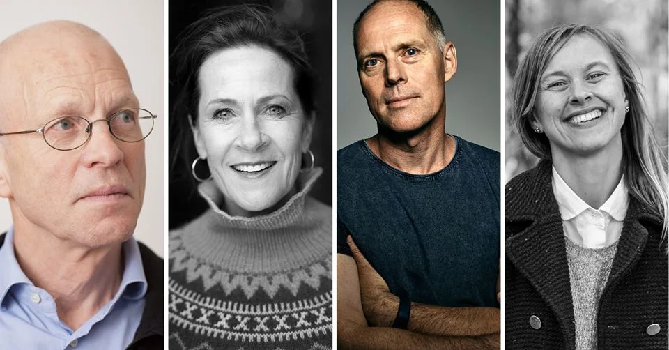Et grønnøyd monster. Buvik, Hjorth, Gulliksen & Drangsholt