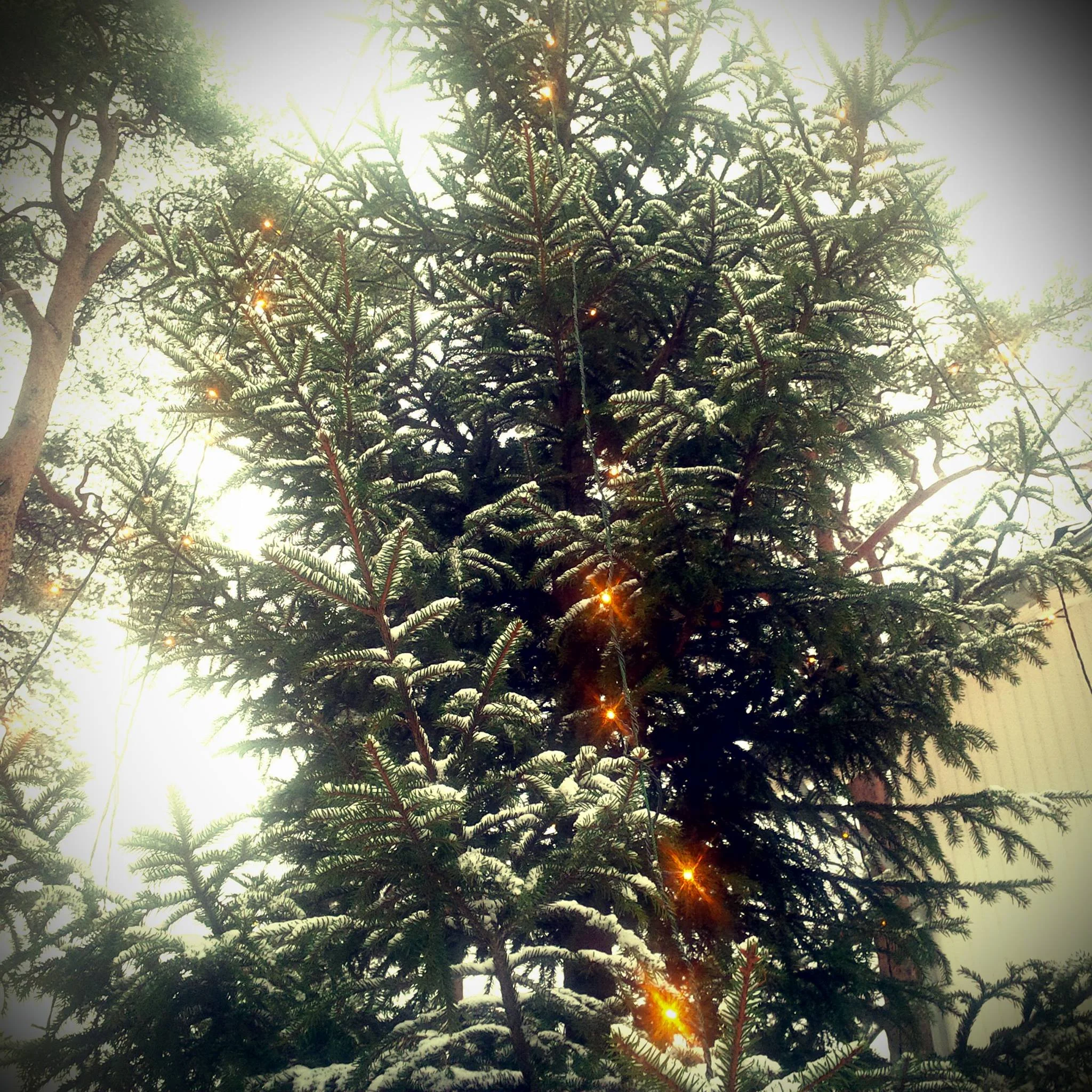 Jul i Ekebergparken