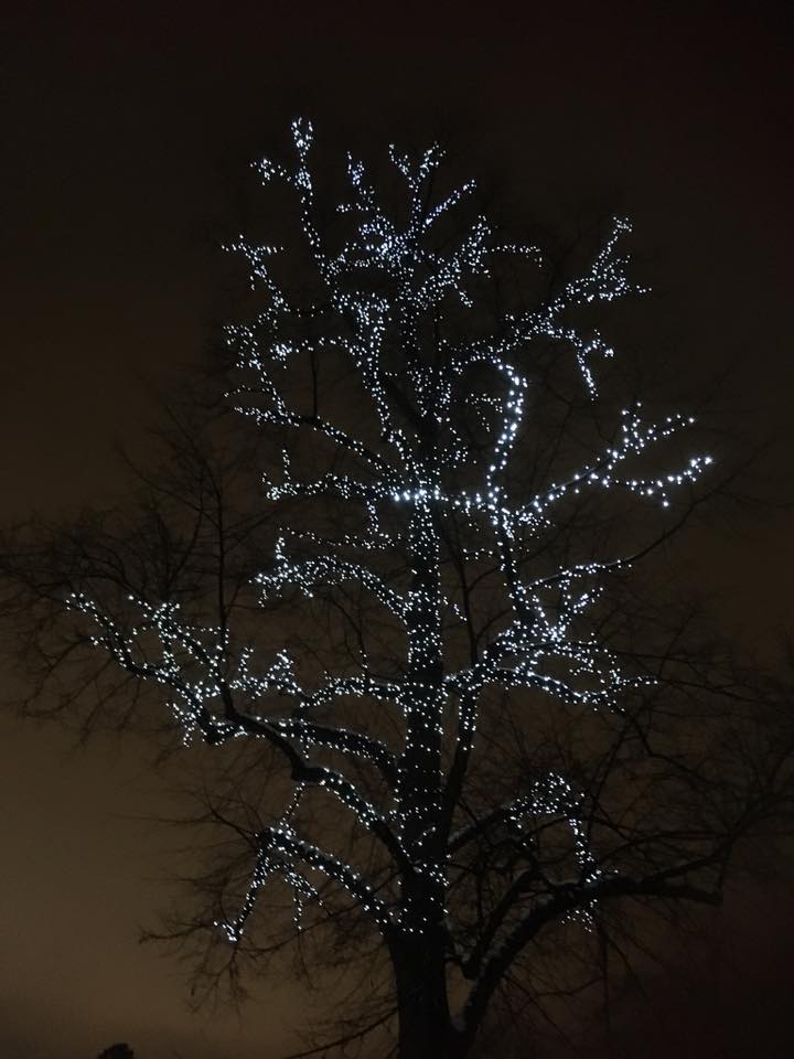 JULEFREDSKONSERT