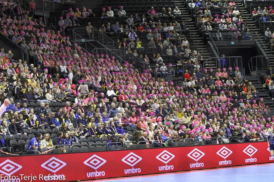 Vipers - Storhamar NM Finale 2018