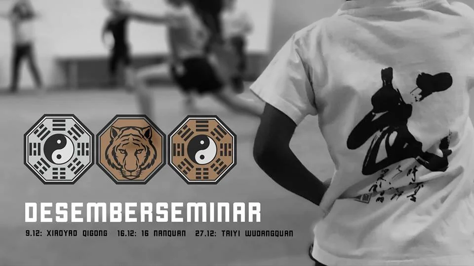 Sølvbagua: Taiyi Wudangquan