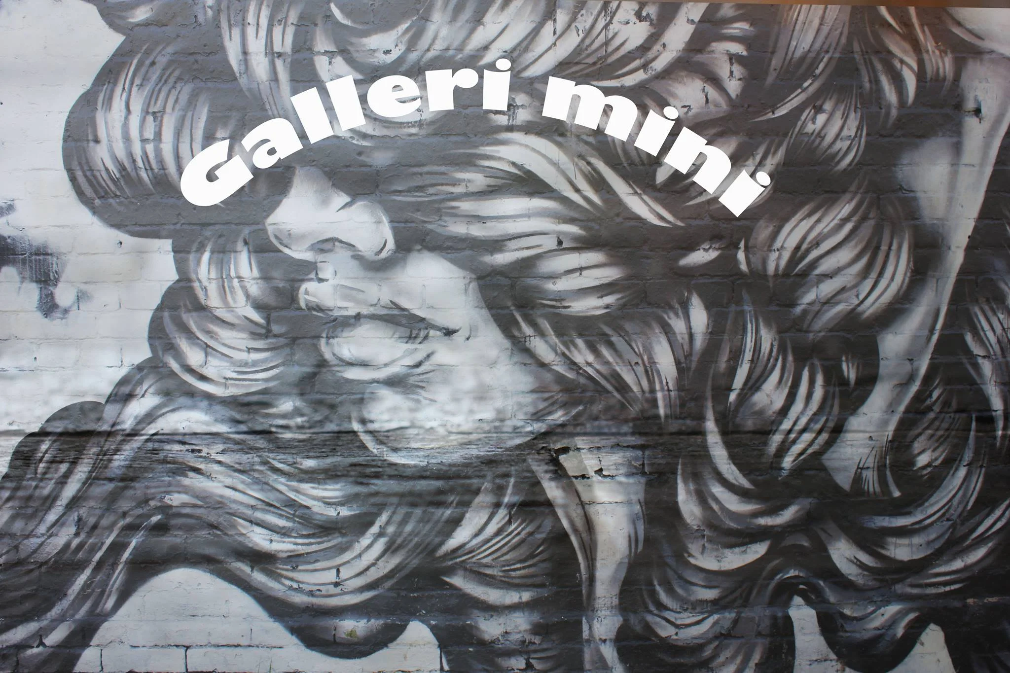 Galleri Mini