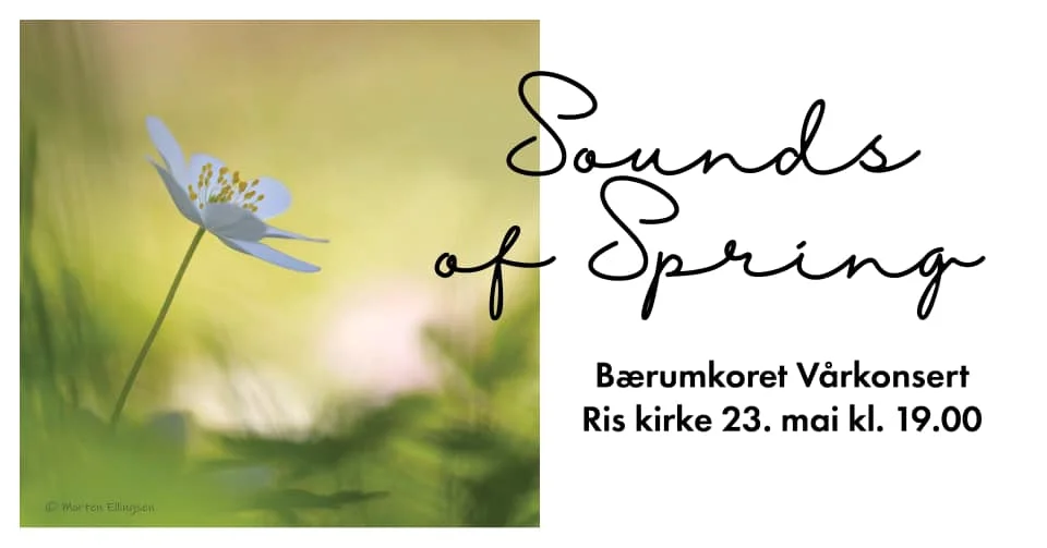 Sounds of Spring med Bærumkoret