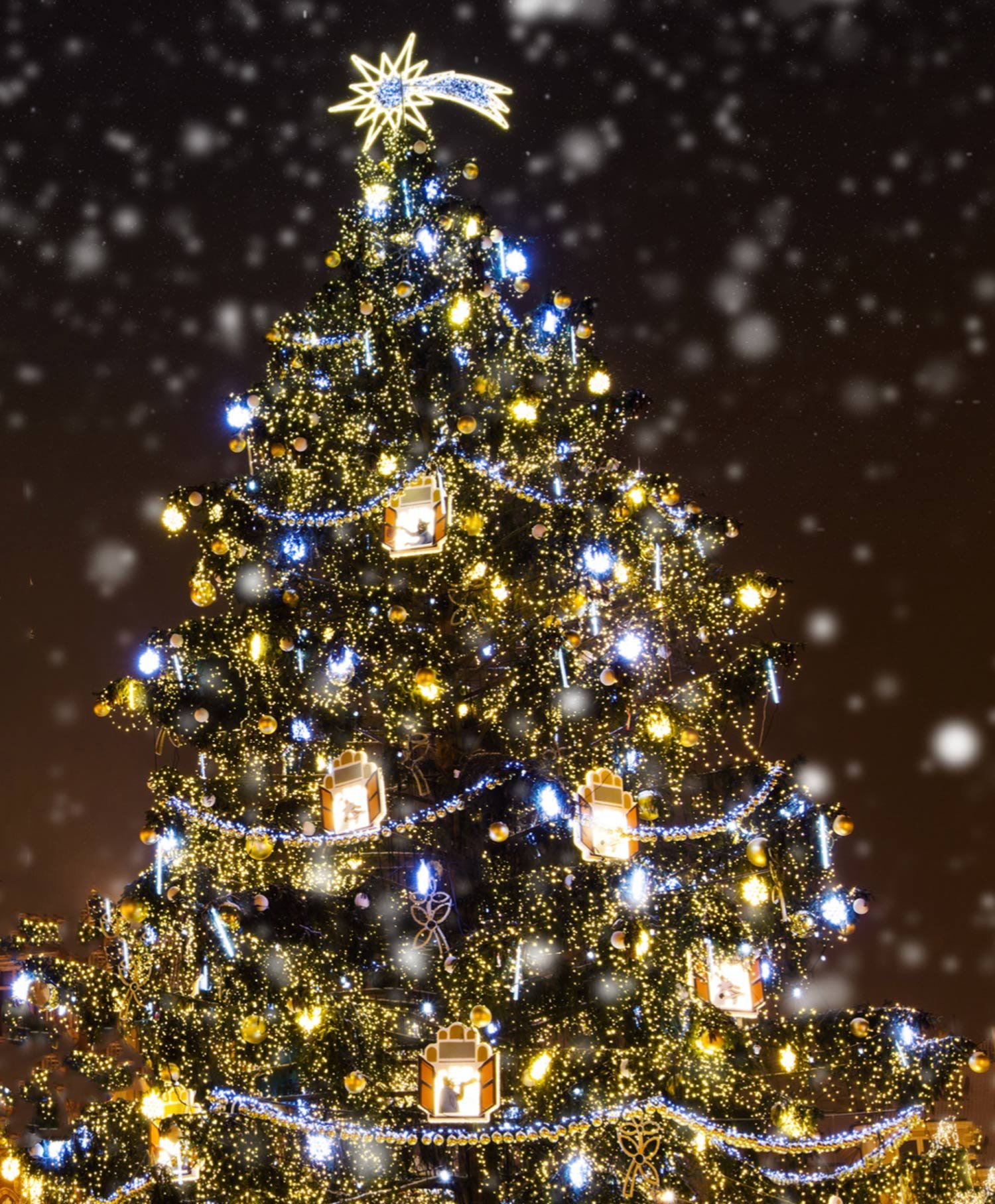 Julegrantenning på Vålerenga