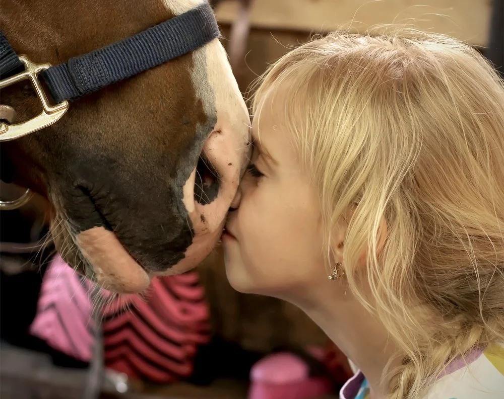 Vinter og vinterferieaktiviteter i Husdyrparken!