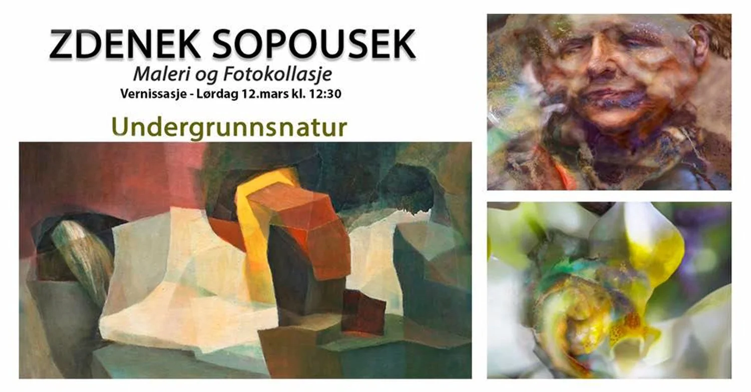 Zdenek Sopousek: «Undergrunnsnatur» - H12 Galleriverkstedet