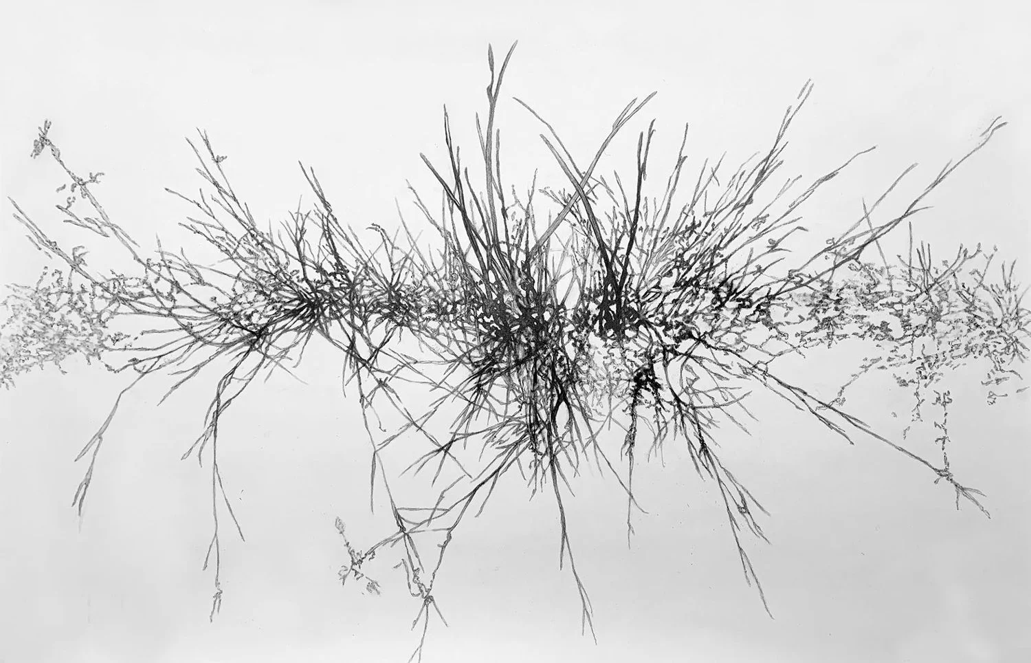 Danuta Haremska - Galleri Semmingsen