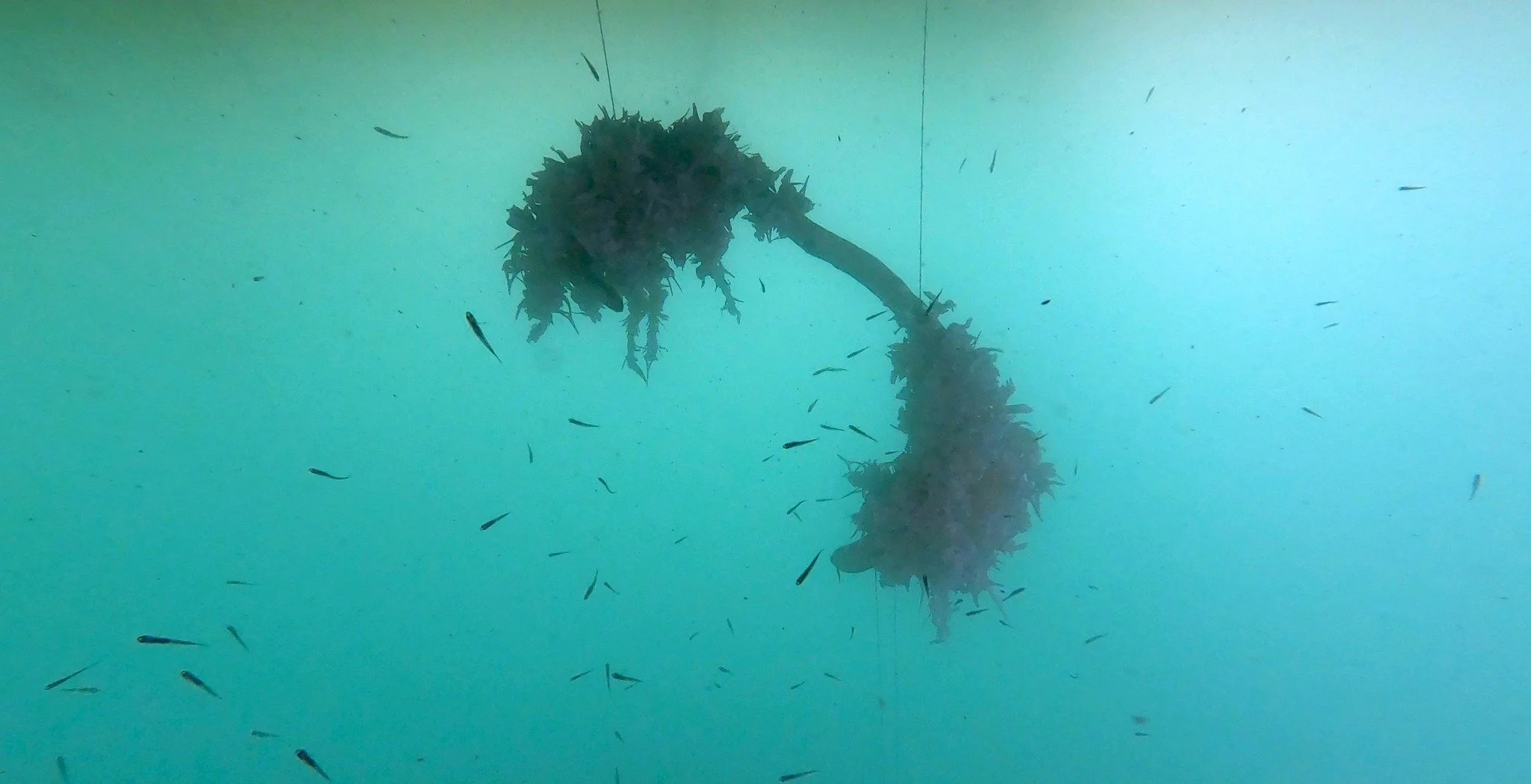 Utstilling: Underflate