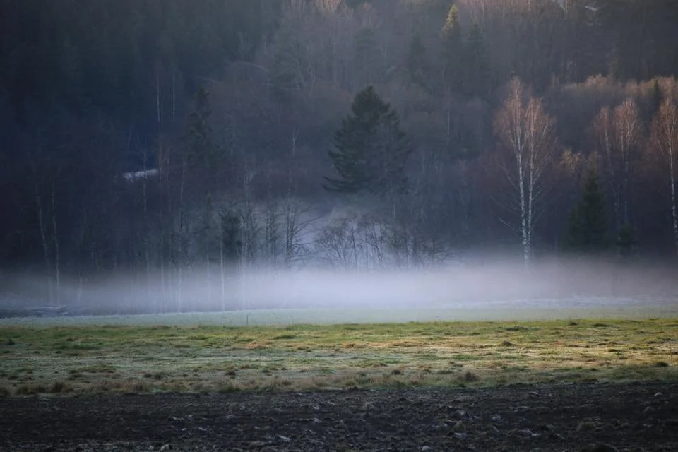 Fotoutstilling Mervi Fiske - Albin Art 