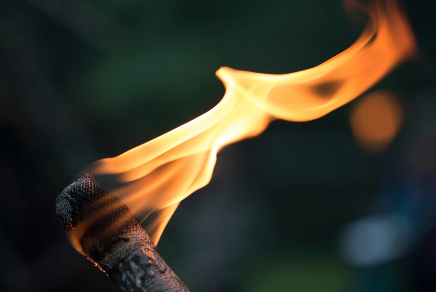 Elvelangs i fakkellys 2022