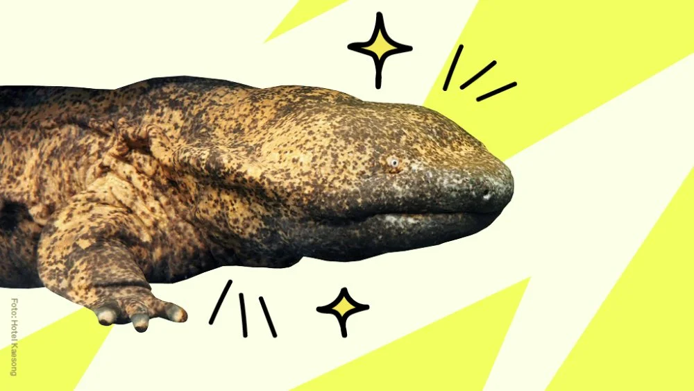 Raskest, styggest, minst