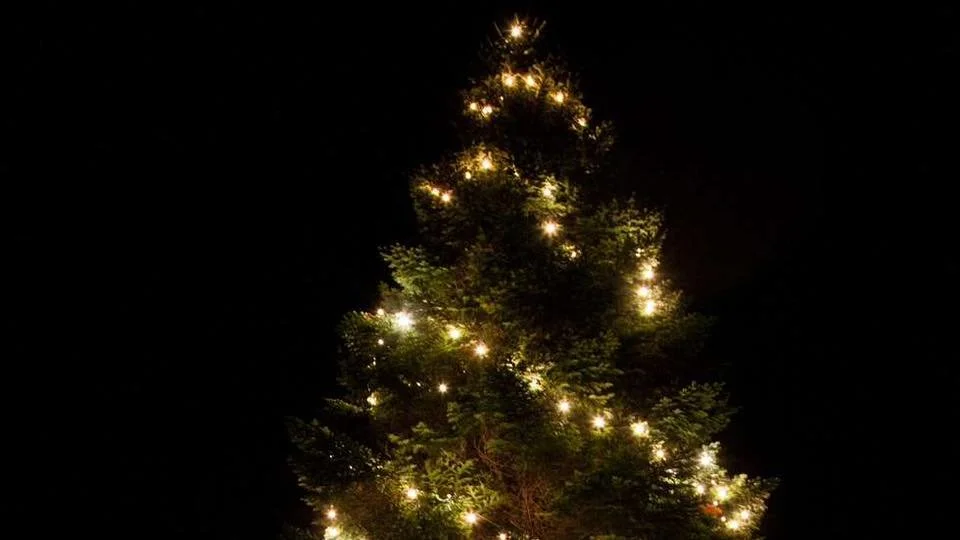 Julegrantenning Malmøya🎄